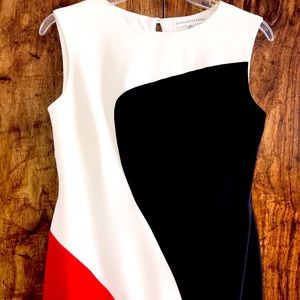 Sandra Darren color block dress